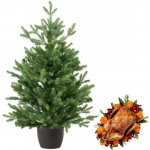 duck-christmas-tree-hamoer_1f2da99d-766f-4a31-8203-17b6cc153da1