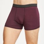 mens-stripe-michael-bamboo-boxers-in-bilberry-by-thought-620fdcc20d902-620fdcc22e92f